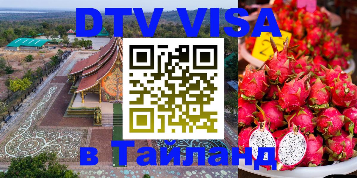 Оформление DTV визы под ключ: стоимость и тарифы, только загранпаспорт - 21.11.2025 